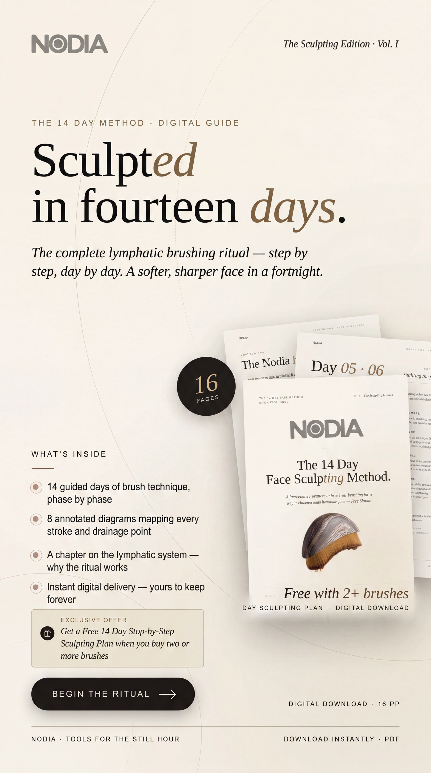 NODIA Brush