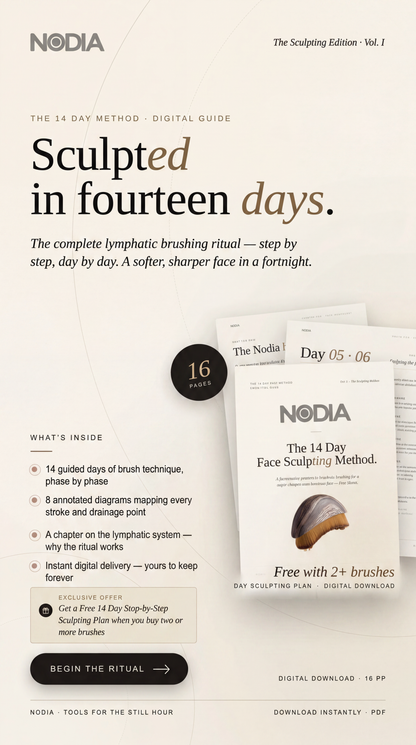 NODIA Brush